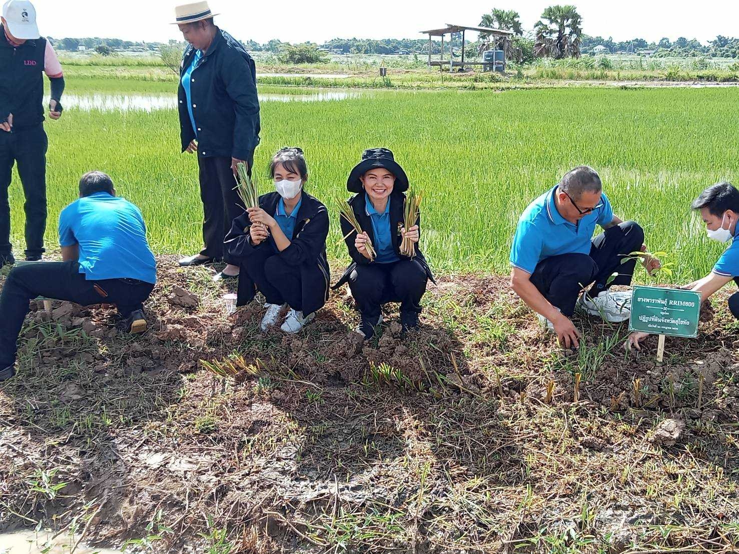 title - กิจกรรมวันต้นไม้ประจำปีของชาติ พ.ศ.2566